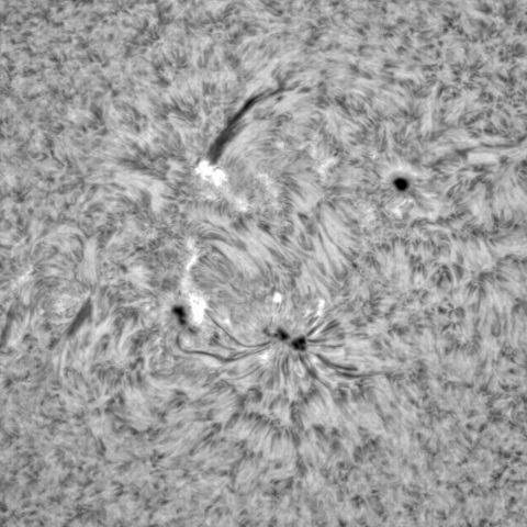 11月10日の太陽④（3141、3140）