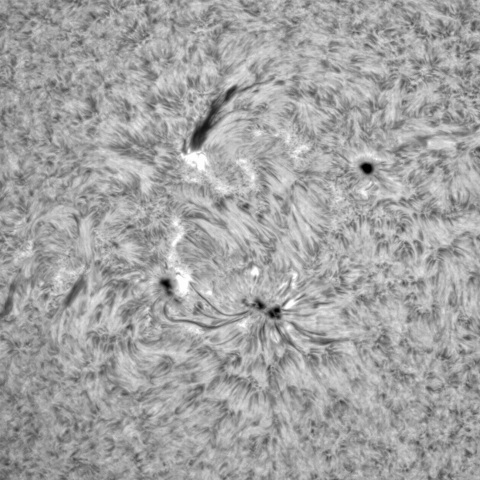 11月10日の太陽➂（3141、3140）