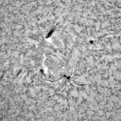 11月10日の太陽②（3141、3140）