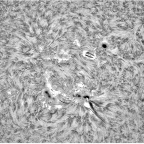 11月11日の太陽➀（3145、3141、3140）