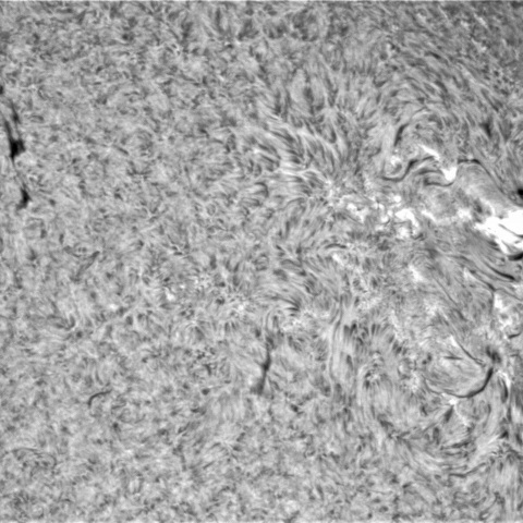 11月14日の太陽➀（3145、3141、3140）