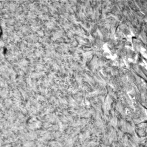 11月15日の太陽➀（3145、3140）