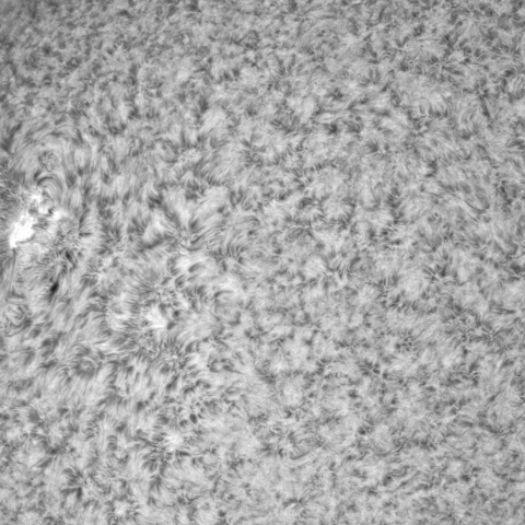 11月19日の太陽➂（3149）