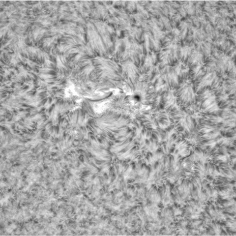 11月24日の太陽➀（3149）