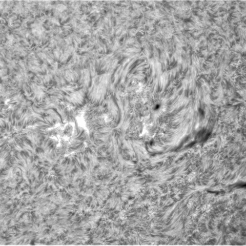 11月25日の太陽➂（3151，3147）
