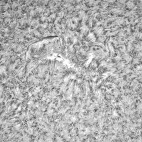 11月27日の太陽➀（3152）