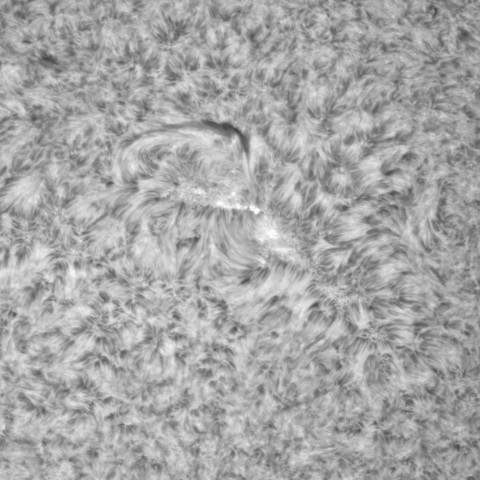 11月28日の太陽➀（3152）