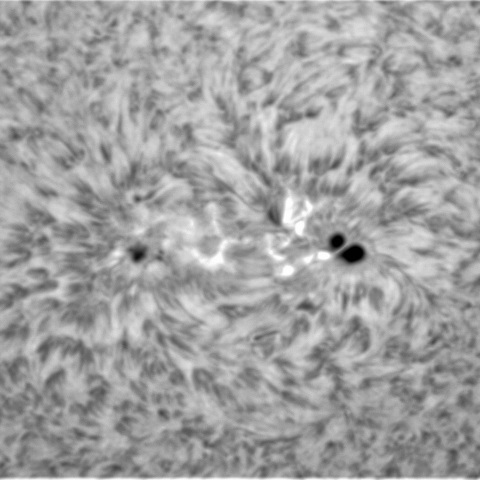 12月 8日の太陽④（3153）