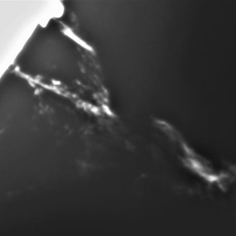 12月 8日の太陽➀（南東縁　プロミネンス）