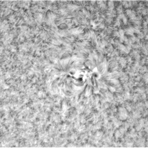 12月31日の太陽④（3179中，3173上）