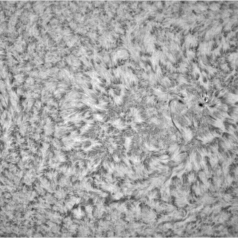 1月3日の太陽③（3181，3177）