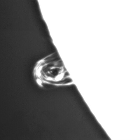 1月6日の太陽④（ポストフレアループ Ⅱ　3182）