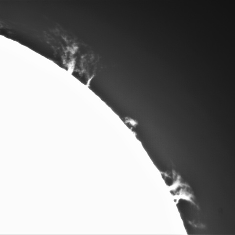 1月6日の太陽②（プロミネンス　北西縁）