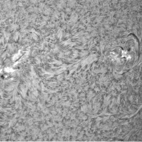 1月８日の太陽②（3183，3181，3177）