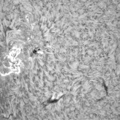1月８日の太陽①（3182）
