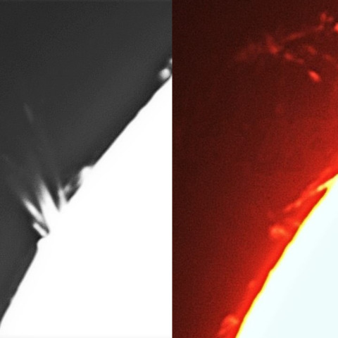 1月10日の太陽①（北東縁）