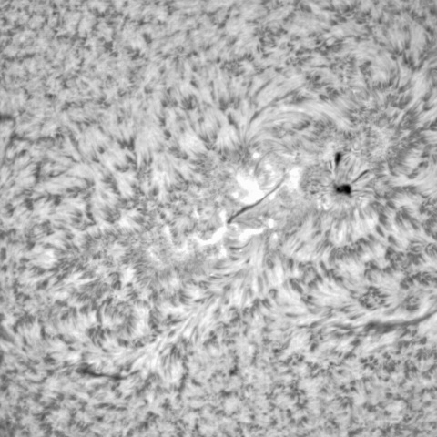 1月11日の太陽（3184，3182）