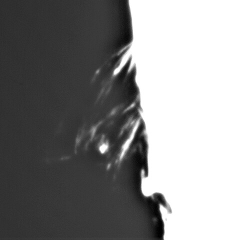 1月12日の太陽➀（南東縁）