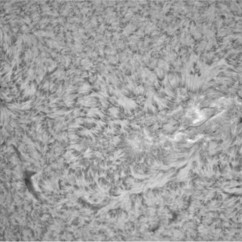 1月12日の太陽(3184,3182)