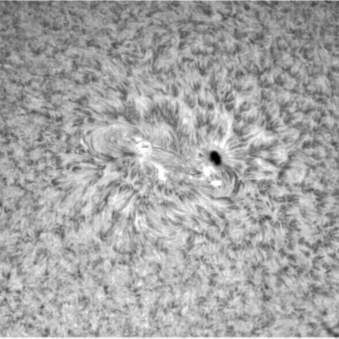 1月17日の太陽④ (3186)