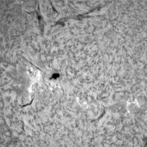 1月17日の太陽➂ (3190，3194，3188)
