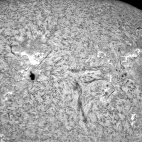 1月17日の太陽➀ (東側半球　横位置)