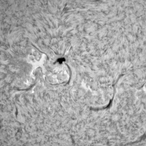 1月18日の太陽② （3190、3194）