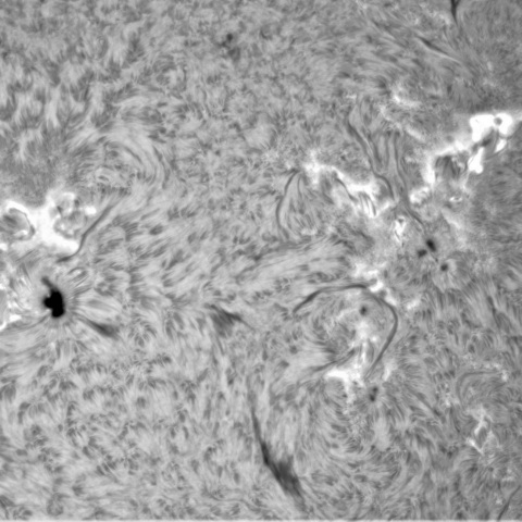 1月18日の太陽➀ （東側半球　横位置）