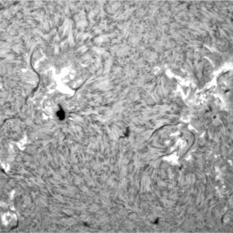 1月19日の太陽➀ （正面　横位置）