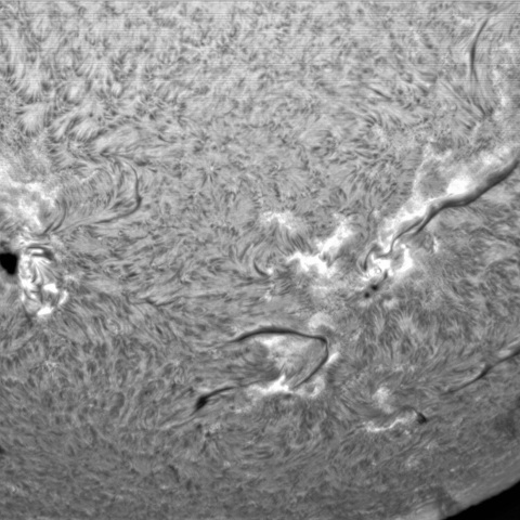 1月22日の太陽➀ （西側半球　横位置）