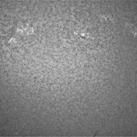 1月26日の太陽➀ （黒点帯）
