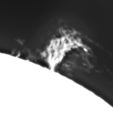 1月29日の太陽➀ （北西縁プロミネンス）