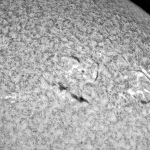 1月31日の太陽➂ （3201，3204）