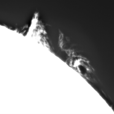 1月31日の太陽➀ （プロミネンス　北西縁）