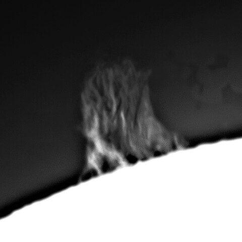 2月3日の太陽➀ （プロミネンス　北端縁）