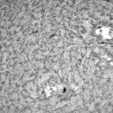 2月8日の太陽➀（3216，3215，3214，3209，3213）