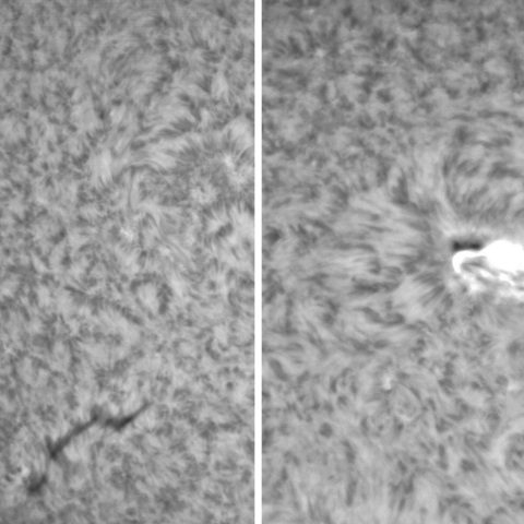 2月9日の太陽②（3217，3213）