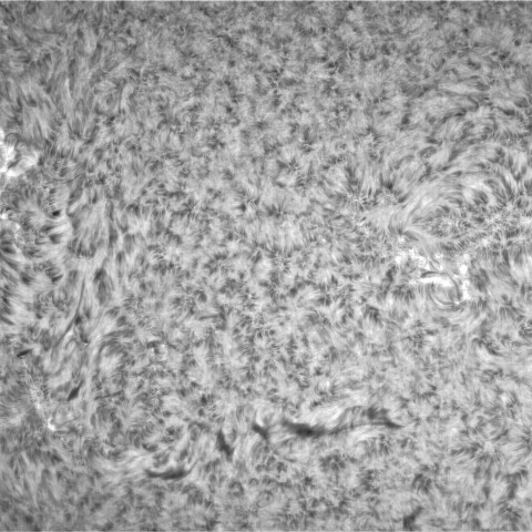 2月11日の太陽②（南東面　3220，3217，3219）