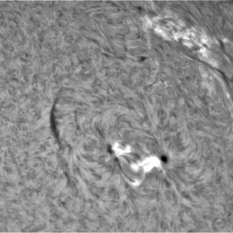 2月12日の太陽①（3214　C8.8フレア）