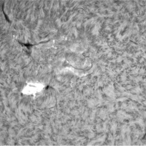 2月14日の太陽②（3226　フレアM1.8）
