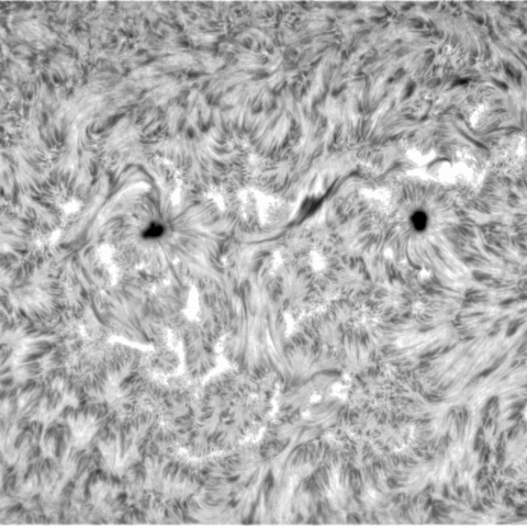 2月16日の太陽③（3220，3217，3225）