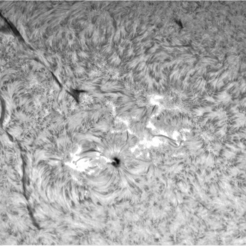 2月16日の太陽➁（3226）