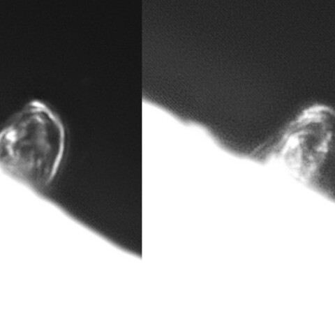 2月16日の太陽①（ポストフレアループⅢ　北東面　90度右回転）
