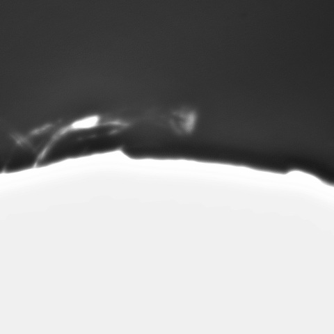 2月22日の太陽④（プロミネンス　西辺　９０度左回転）