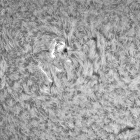 2月22日の太陽➂（3230）