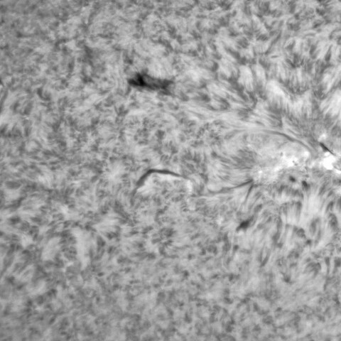 2月22日の太陽②（3234，3229）