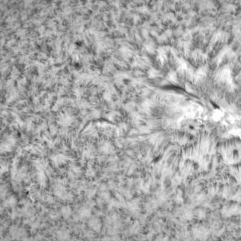 2月22日の太陽②（3234，3229）