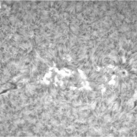 2月25日の太陽➀（3237，3236，3230）