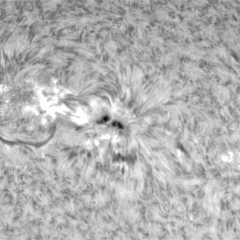 2月26日の太陽➀（3234,3235）