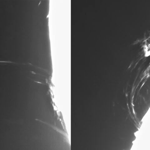 3月01日の太陽➀（プロミネンス  東半球）